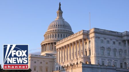 Rep Rick Crawford: This requires the US to be ‘HYPERVIGILANT’ in protecting the homeland