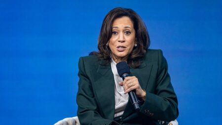 Uninvited woman enters Kamala Harris’ Malibu property prompting sheriff response: reports