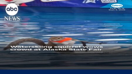 Waterskiing squirrel wows crowd at Alaska State Fair Waterskiing squirrel wows crowd at Alaska State Fair