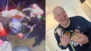 Missing 70-year-old hiker rescued after disappearing for a week in remote national park