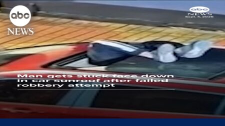 Man gets stuck in car sunroof after failed robbery attempt