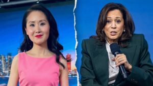 Ex-Dem insider exposes what Harris told top donors days before Biden dropped out: ‘So insulting’ Ex-Dem insider exposes what Harris told top donors days before Biden dropped out: ‘So insulting’