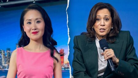 Ex-Dem insider exposes what Harris told top donors days before Biden dropped out: ‘So insulting’