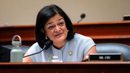 Washington Democrat claims majority of recent DHS arrestees posed ‘no threat to public safety’