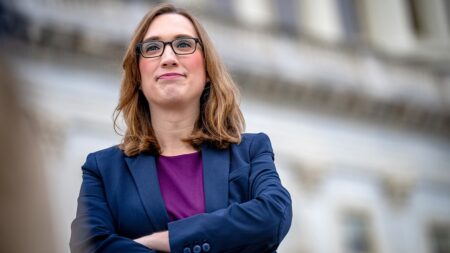 Republican upsets party-backed rival to challenge first openly trans member of Congress