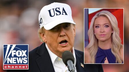 Kayleigh McEnany: Trump is right, this is something we CAN’T LOSE