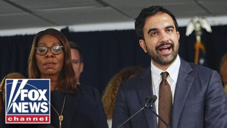 Mamdani, Letitia James announce new immigrant protections