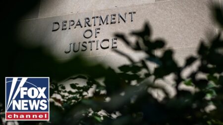 Afghan woman deported in LANDMARK ‘alien terrorist’ case
