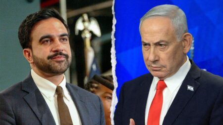 Mamdani makes eyebrow-raising claim about Netanyahu protests ahead of NYC visit