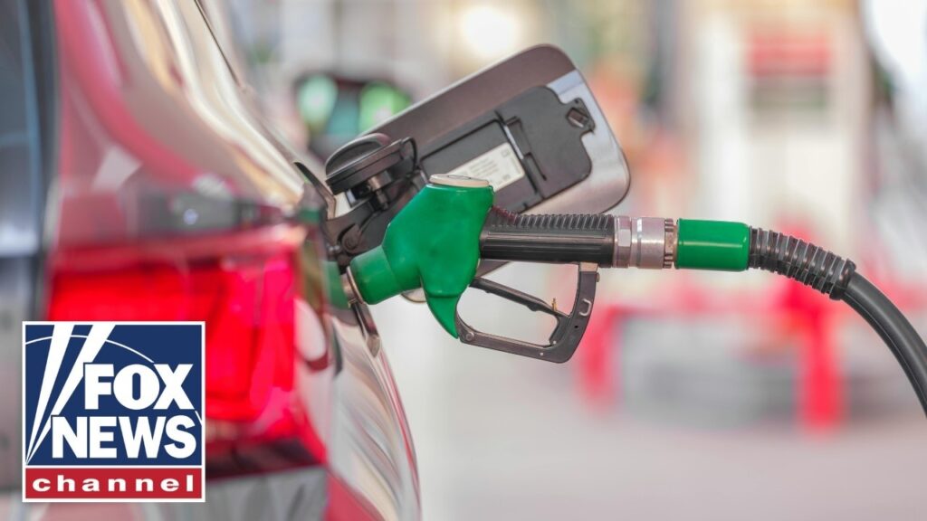 Lee Zeldin outlines plans to lower record-high diesel prices