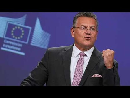 Brussels seeks ‘credible’ outcome in EU-China talks after key negotiators’ call Brussels seeks ‘credible’ outcome in EU-China talks after key negotiators’ call