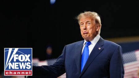 ‘You WILL get it!’: Trump VOWS ,000 dividend will happen