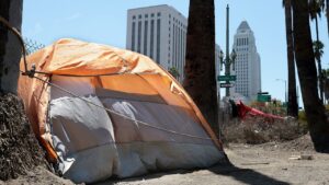 LA homelessness fraud cases expose deeper problem than stolen millions, oversight hawk warns LA homelessness fraud cases expose deeper problem than stolen millions, oversight hawk warns