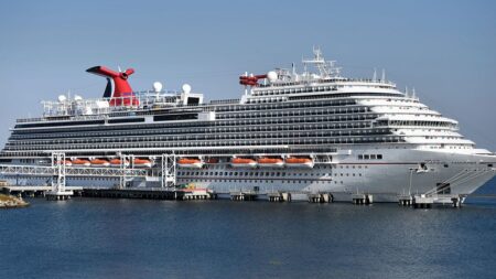 Missing Carnival Panorama passenger jumped overboard off Mexico’s coast