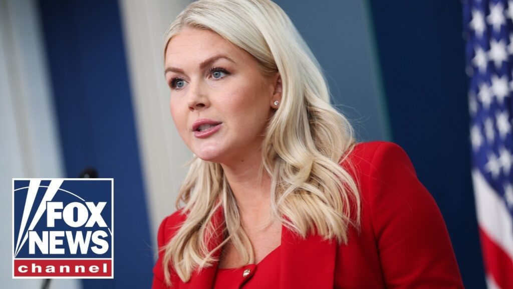 Karoline Leavitt: They want to DESTROY America…