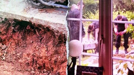 Shocking discovery of ancient bones turns couple’s kitchen renovation into ‘crime scene’