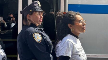 Mamdani-backed socialist arrested at anti-Netanyahu protest outside UN