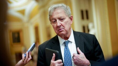 Republicans fear they ‘haven’t done a damn thing’ to lower prices ahead of midterm reckoning