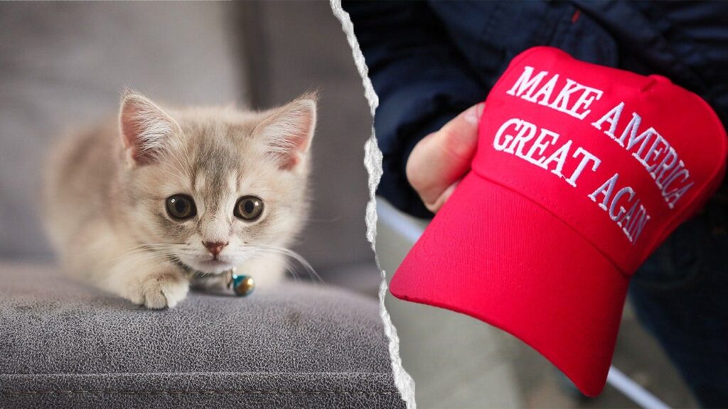 NYC kitten rescue defends ‘NO F—ING MAGA’ adoption policy as PETA calls for it to be abolished NYC kitten rescue defends ‘NO F—ING MAGA’ adoption policy as PETA calls for it to be abolished