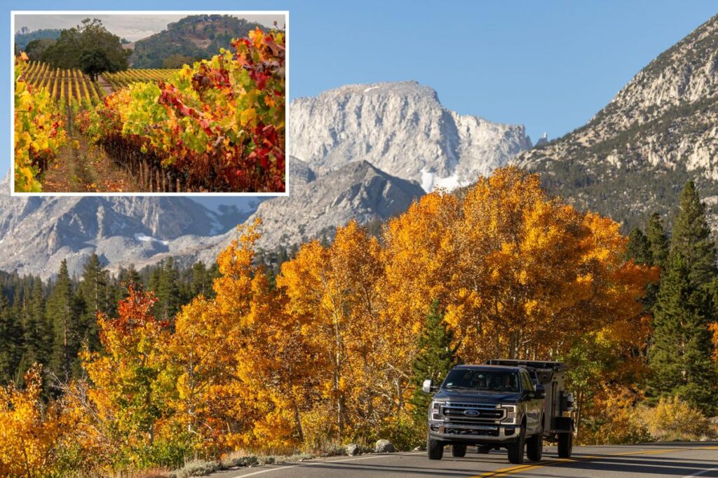 New fall foliage forecast shows when to catch peak colors in California