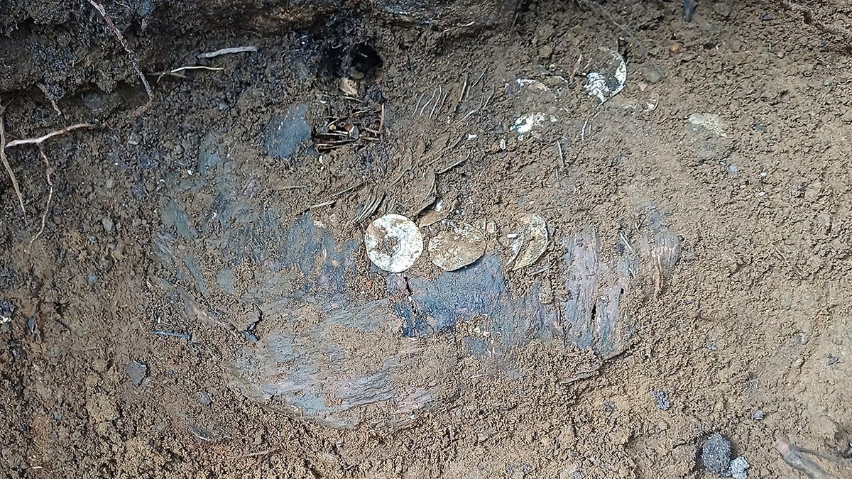 View of ancient coins at excavation site in mud
