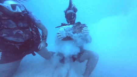 Faint signal leads treasure hunters to massive discovery at legendary 400-year-old wreck