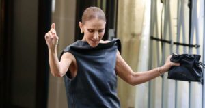 Celine Dion’s ,600 ‘Little Black Bag’ Is a Fall Outfit Maker — We Found a Twin for 
