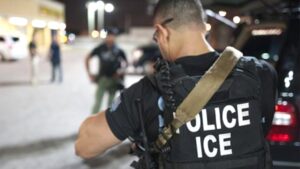 Suspect in custody for strangling Massachusetts woman to death in her home is Brazilian illegal immigrant Suspect in custody for strangling Massachusetts woman to death in her home is Brazilian illegal immigrant