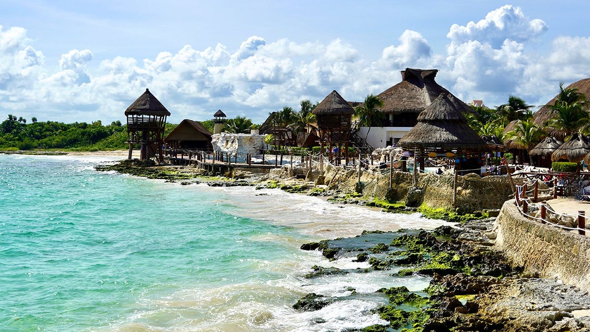View of seaweed on shore of Costa Maya