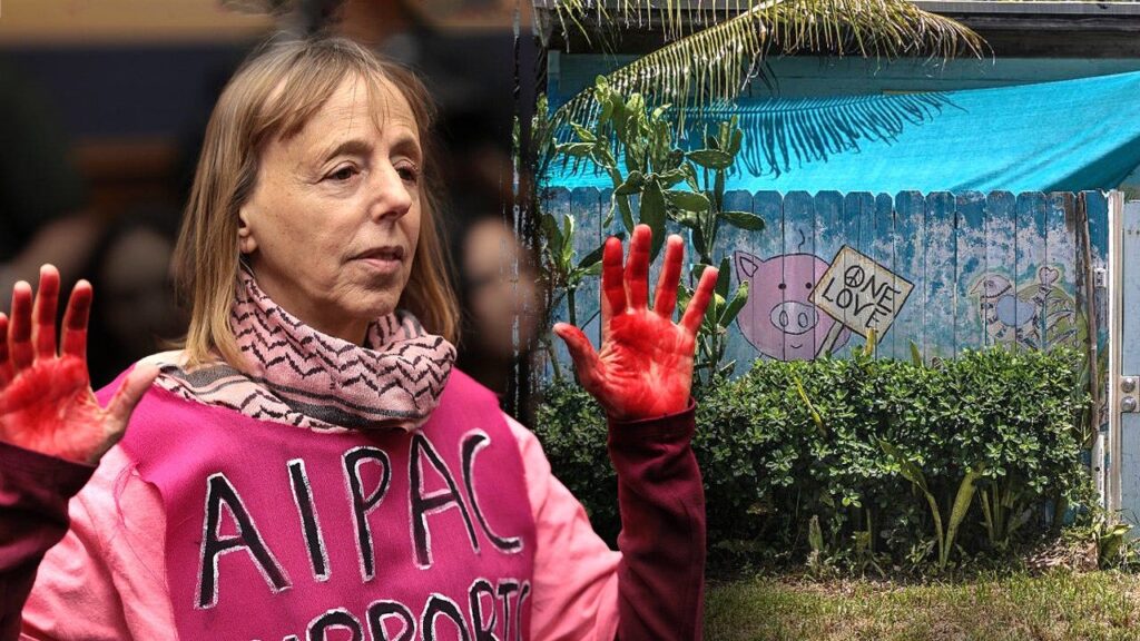 M CodePink-linked foundation shut down in California pops up at ramshackle Miami home M CodePink-linked foundation shut down in California pops up at ramshackle Miami home