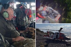 Missing hiker, 70, hoisted to safety ‘alive and alert’ after surviving for week on remote Michigan island