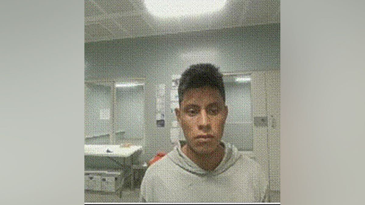 Illegal immigrant Noe Lux Castro arrested in Florida