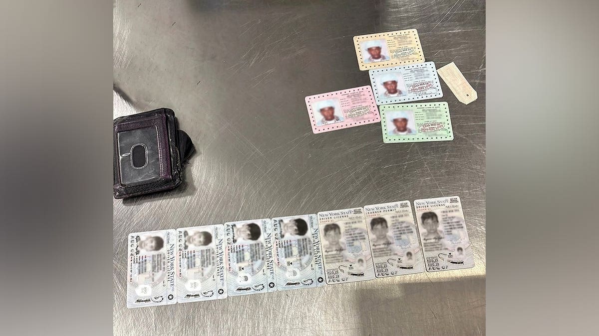 View of stash of fake IDs
