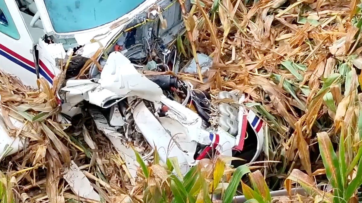 Mangled plane, close-up of damage in cornfield