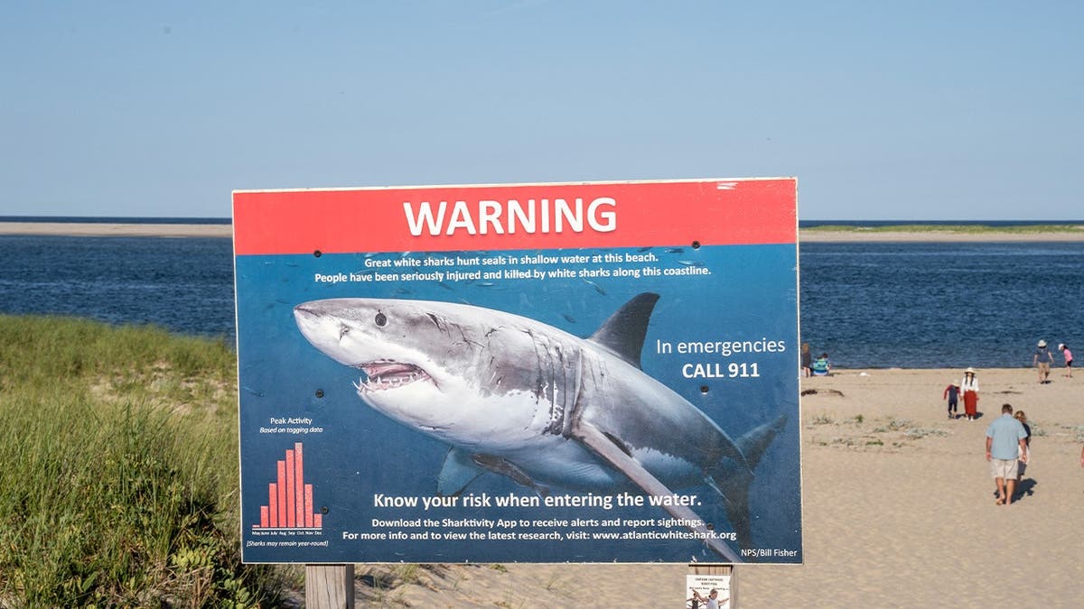 A sign warning people about the presence of sharks stands on a beach.
