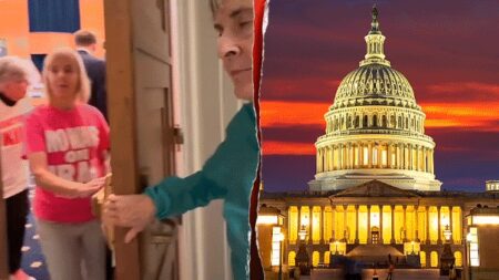 Lawmakers say they are standing at the gates against ‘Trojan horses’ promoting malign foreign interests