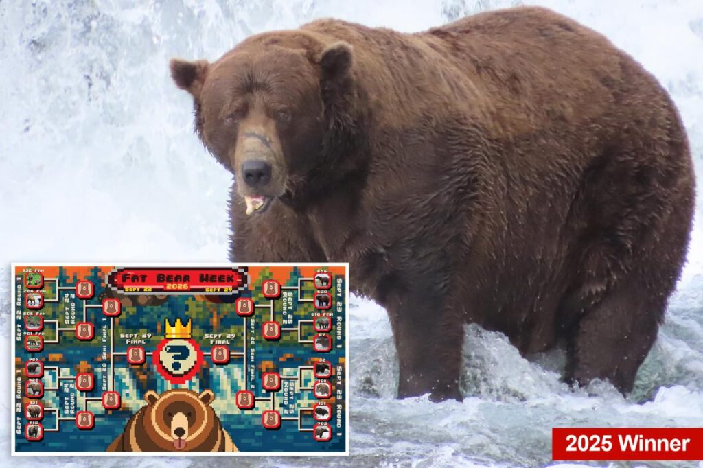 Fat bear week kicks off its 12th year — meet the contenders Fat bear week kicks off its 12th year — meet the contenders