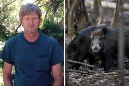 Recently retired Oklahoma man, 63, dies after driving into pack of wild hogs