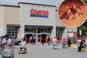 Wildly popular Costco dessert returns— but some fans feel duped because of one key change Wildly popular Costco dessert returns— but some fans feel duped because of one key change