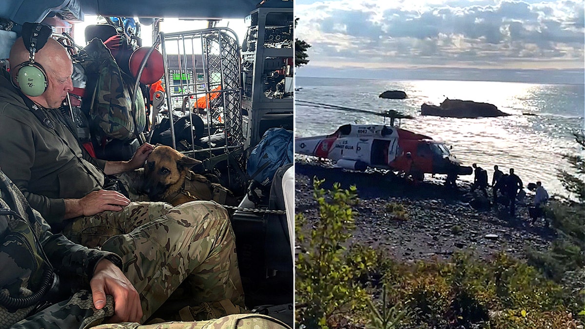 split photo of k-9 and personnel in aircraft and helicopter on shore