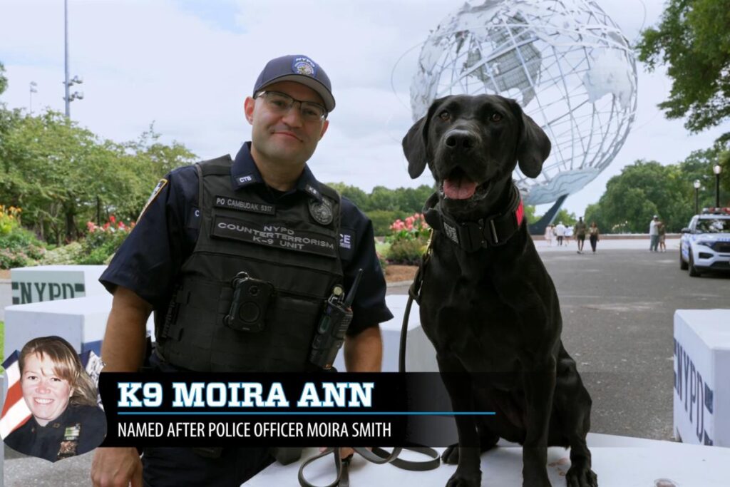 Exclusive | NYPD names K-9s after fallen 9/11 heroes — read the stories behind each of NY’s Finest Exclusive | NYPD names K-9s after fallen 9/11 heroes — read the stories behind each of NY’s Finest