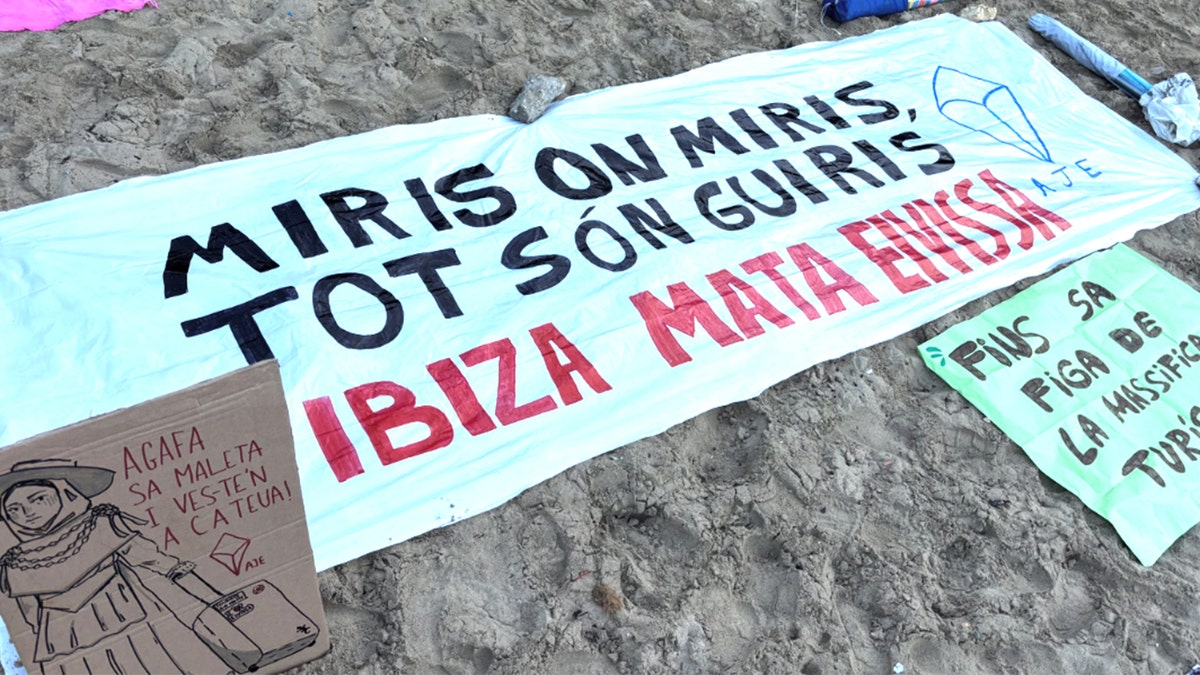 View of protest signs
