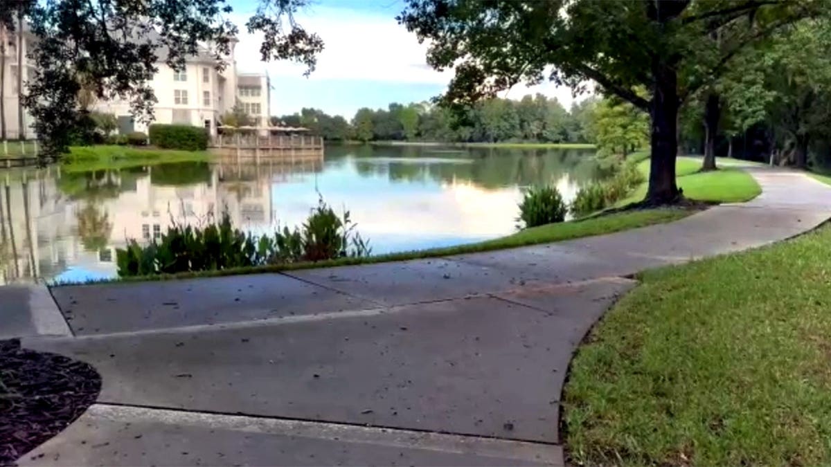 lake and walking path