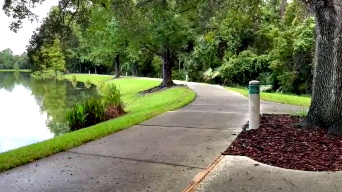 walking path