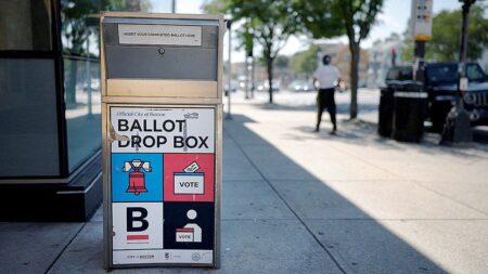 Obama-appointed judge ripped for blocking Trump mail-ballot rule: ‘Run out the clock’