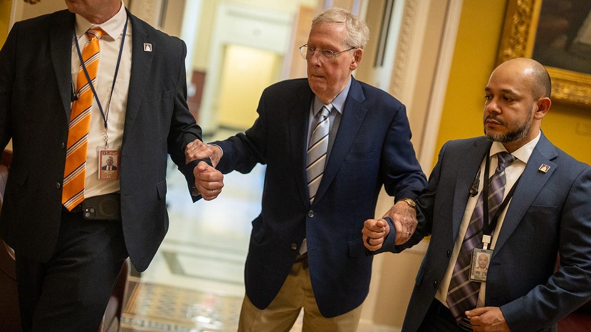 Sen. Mitch McConnell holds on to two people who appear to be helping support him