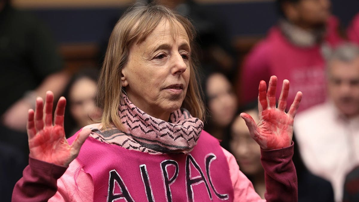Medea Benjamin protests before a House Judiciary Committee hearing in Washington, D.C.