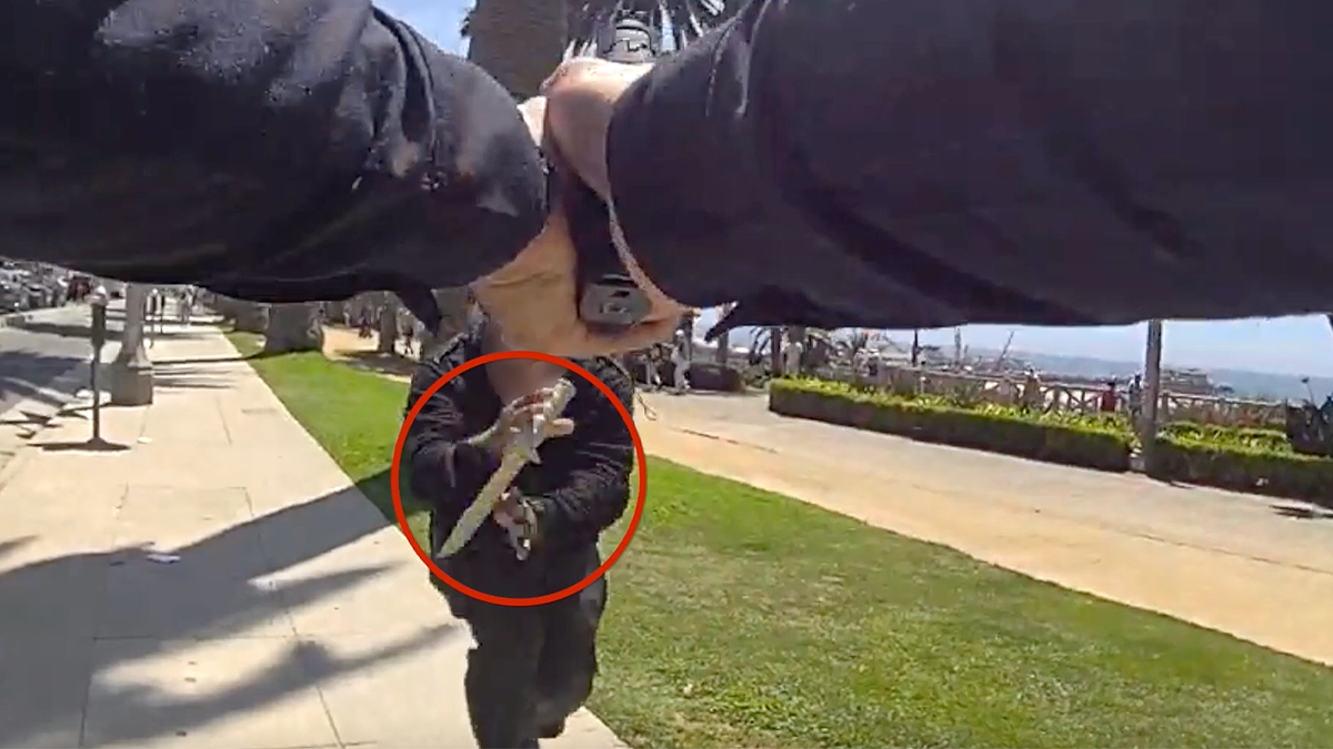 Bodycam captures armed confrontation in Palisades Park