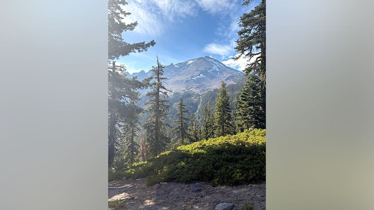 A view of Mount Shasta, trees and rough terrain