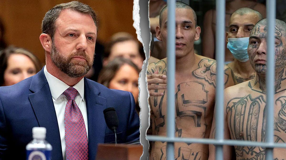 dhs illegal aliens
